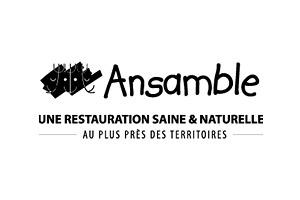 logo ansamble